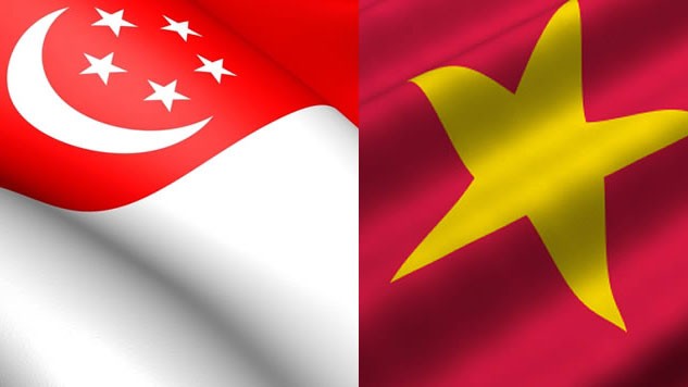 Singapore’s National Day celebrated in Ho Chi Minh City - ảnh 1